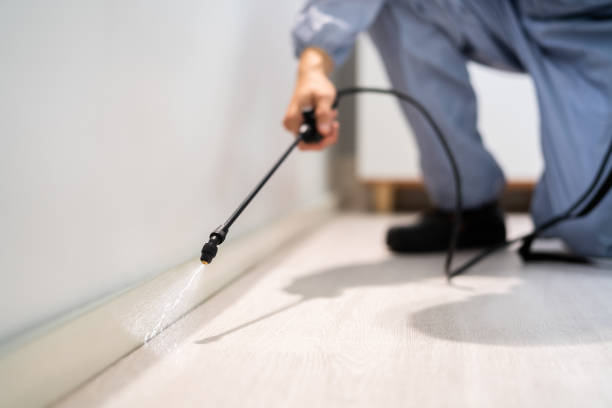 Licensed Mosquito Control service in Parkersburg, WV - Show Me Pest Control