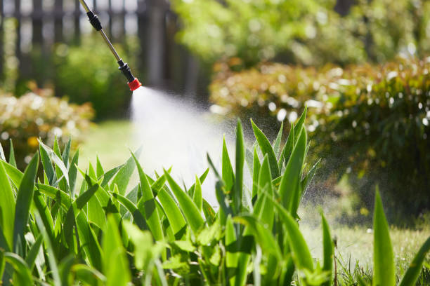 24/7 Emergency Mosquito Control experts in Parkersburg, WV