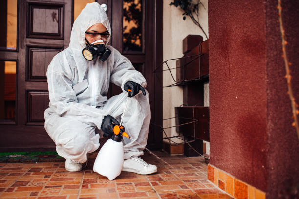 Reliable Mosquito Control contractor in Parkersburg, WV by Show Me Pest Control