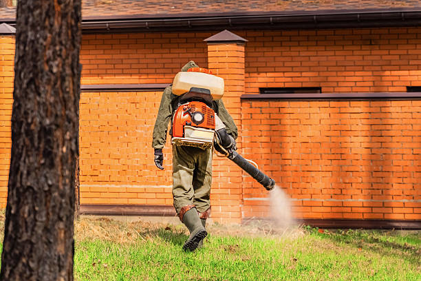 Top rated local Mosquito Control specialists in Parkersburg, WV